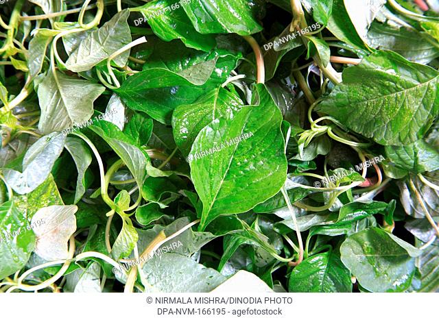 Vegetable , chauli leaves