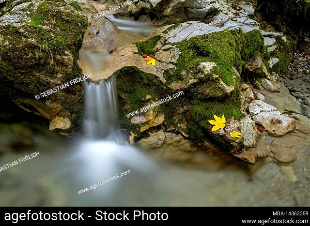 Small waterfall at Kesselberg near Kochel with autumn colored leaves and green moss