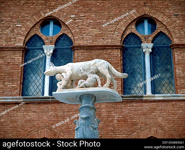Siena - column with the she-wolf in front of the Duomo facade