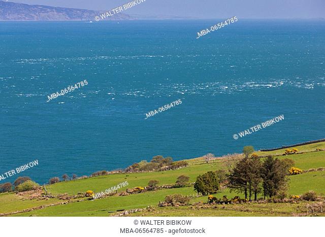 UK, Northern Ireland, County Antrim, Torr Head, Torr Head Scenic Road, coastal landscape