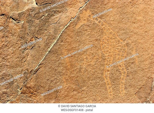 Algeria, Wilaya Tamanrasset, Hoggar Mountains, giraffe petroglyph, close-up