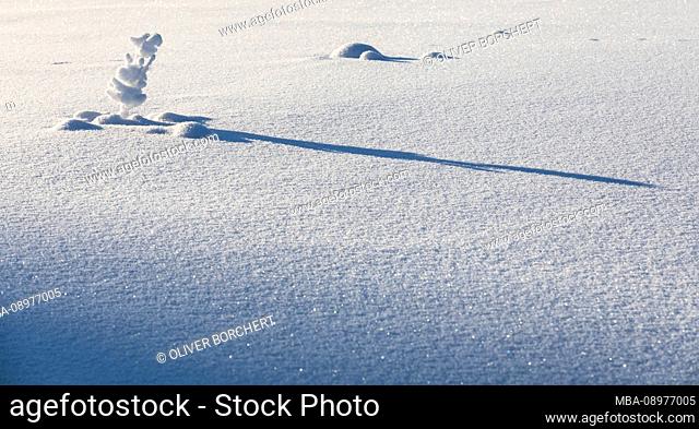 Finland, Lapland, winter, shade, snow cover