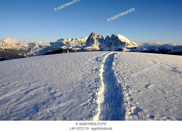 Traces in snowy mountain landscape in the evening sun, Alpe di Siusi, Langkofel, Alto Adige, South Tyrol, Italy, Europe