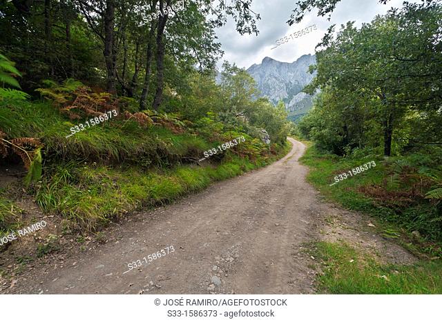 The Arredondas road in Brez  Santander  Cantabria  Spain
