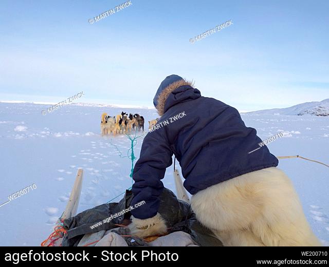 Jumping on the sledge. Inuit hunter wearing traditional trousers and boots made from polar bear fur on the sea ice of the Melville Bay near Kullorsuaq in North...