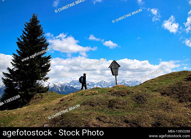 Young man on hike to Wallgauer Alm, Bergkreuz, Germany, Upper Bavaria, Mountains, Alm mountain landscape, Bavaria, Werdenfels, Wallgau, destination, mountains