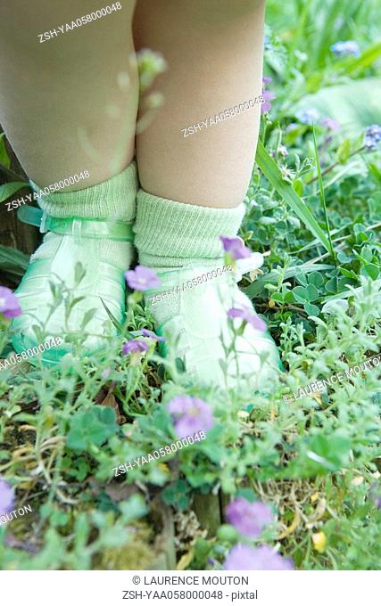 Toddler girl standing on grass and wildflowers, low section
