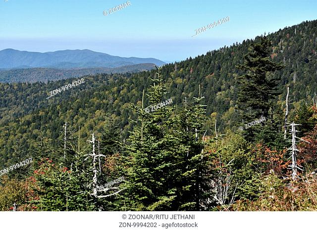 View from Clingmans Dome at Great Smoky Mountains National Park in Tennessee