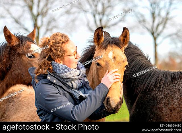 Young woman in a wax coat with her 1 year old stallions in the pasture. She cuddles with them to socialize them. Three horse heads