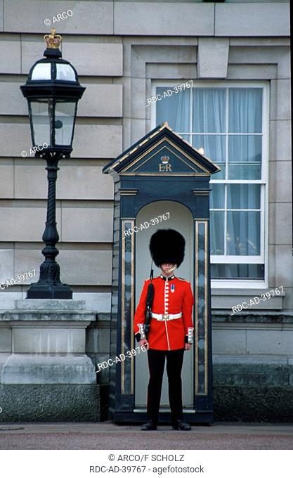 Guard Soldier at the Buckingham Palace London England Great Britain