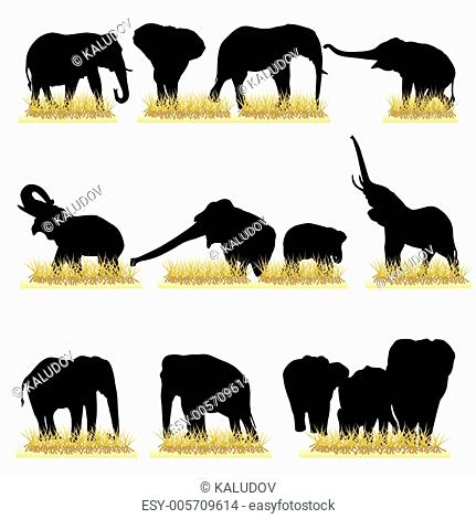 12 Elephants Silhouettes Set