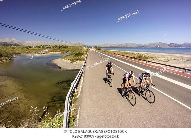ciclistas en el puente de Es Grau, con la playa de Cap de Bou a la derecha, Reserva natural de l'Albufereta, Pollença, Majorca, Balearic Islands, Spain