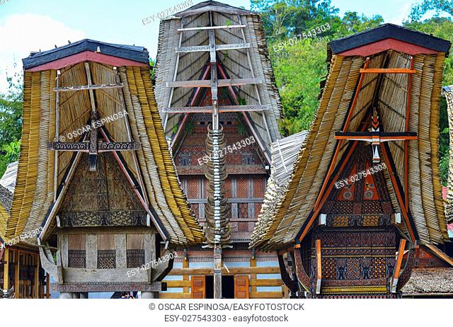 Tongkonan traditional houses in Tana Toraja, Sulawesi, Indonesia