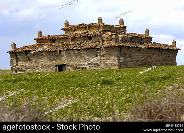 Old dovecote, Villafafila, Zamora, Castile-Leon, Spain, Dovecote, Europe