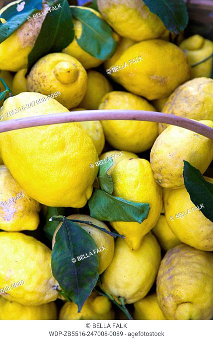 Basket of lemons, Sorrento, Italy