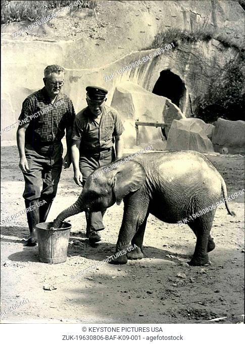 Aug. 06, 1963 - A rare Baby Elephant: The Zoo in Paris received from Africa baby elephant belonging to a rare variety which is much smaller than the Ordinary...