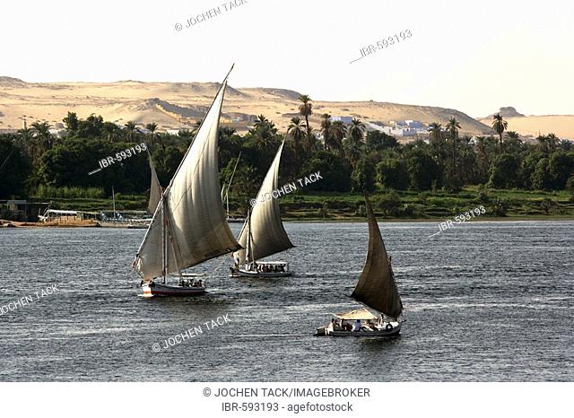 Feluccas, traditional sailing boats on the river Nile, near Aswan, Egypt, Africa