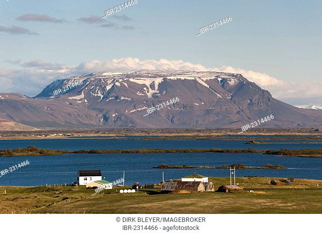 Búrfell mountain and lake Mývatn, Norðurland eystra region, or north-east region, Iceland, Europe