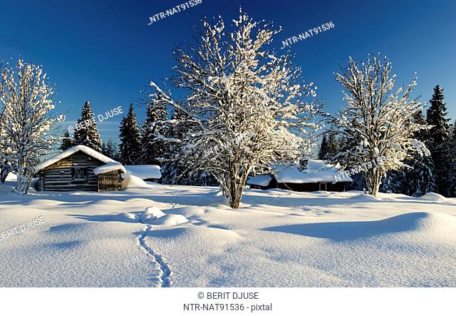 Winter landscape with hut
