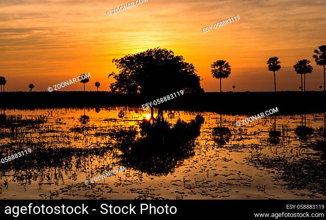 Magical Golden Sunset in the Pantanal Wetlands in Paraguay. The Pantanal is the world's largest tropical wetlands area located on the border of Paraguay