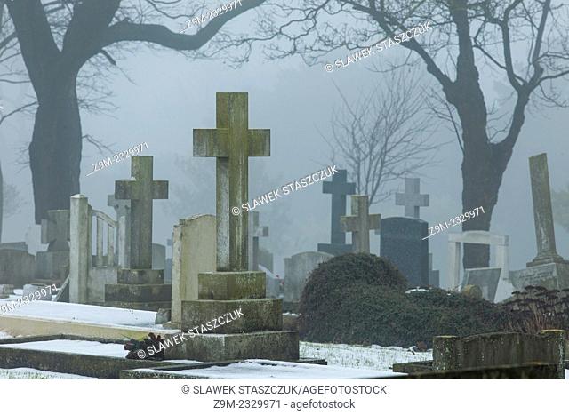 Foggy winter day at a cemetery in Brighton, East Sussex, England, United Kingdom