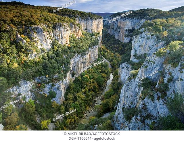 Gorge in Foz de Arbayun Natural Reserve and Salazar river  Pirineos Orientales County, Pyrenees Mountain Range, Navarre, Spain, Europe