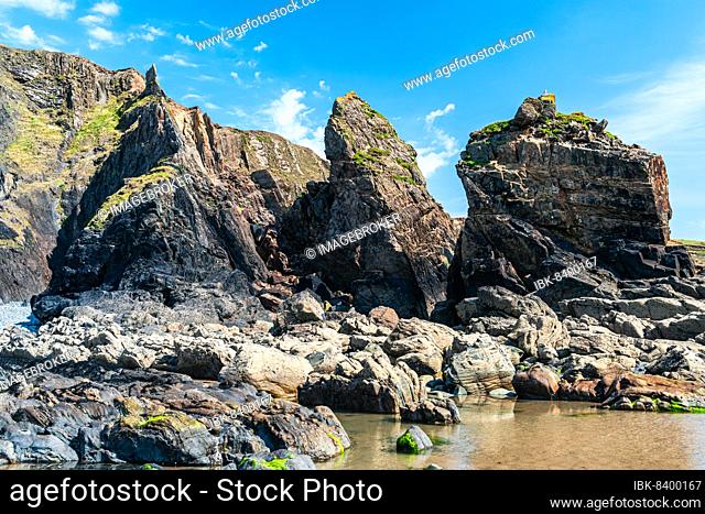 Cliffs on the Sandymouth Bay Beach, National Trust, Bude, Cornwall, England, United Kingdom, Europe
