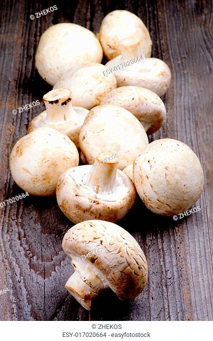 Arrangement of Big Raw Freshly Picked Champignons on Rustic Wooden background