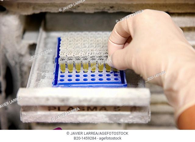 Frozen serum aliquots, stored samples in refrigerator at -80º C, DNA and RNA biobank, extraction and storage of DNA/RNA from blood samples