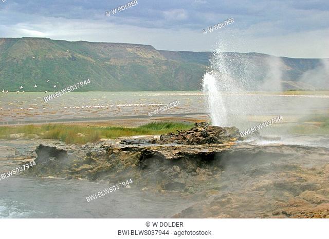 hot spring, geyser at lake Bogoria, Kenya