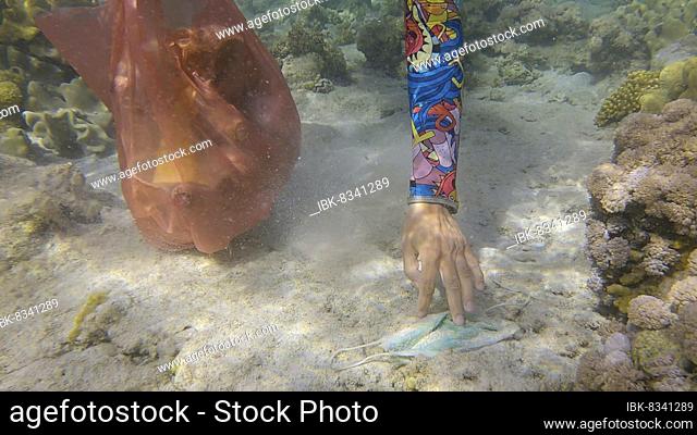 Woman in diving equipment swims and collects plastic debris underwater on the bottom of coral reef. Snorkeler cleaning Ocean from plastic pollution