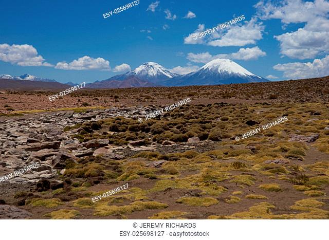 Snow and ice covered peaks of the volcanoes Parinacota (6342m) and Pomerape (6240m), tower above the altiplano in Lauca National Park, northern Chile
