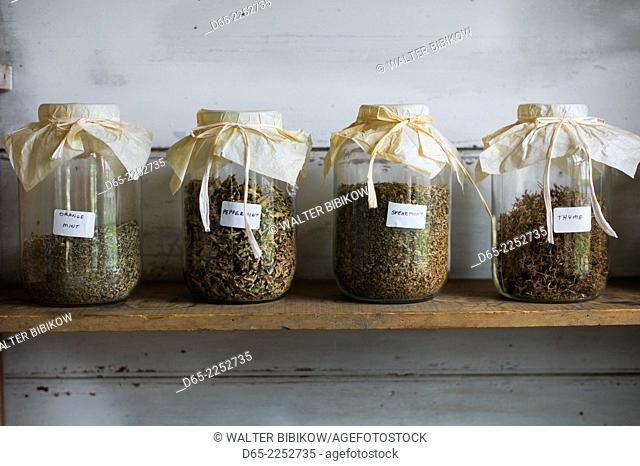 USA, New Hampshire, Canterbury, Canterbury Shaker Village, former Shaker religious community, herbs