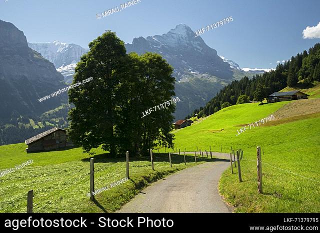 Eiger, Grindelwald, Bernese Oberland, Switzerland