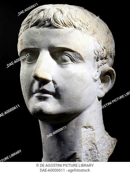 Marble head of Emperor Tiberius, artefact uncovered in Pergamon, Turkey. Roman Civilisation, 1st century.  Istanbul, Arkeoloji Muzerleri (Archaeological Museum)