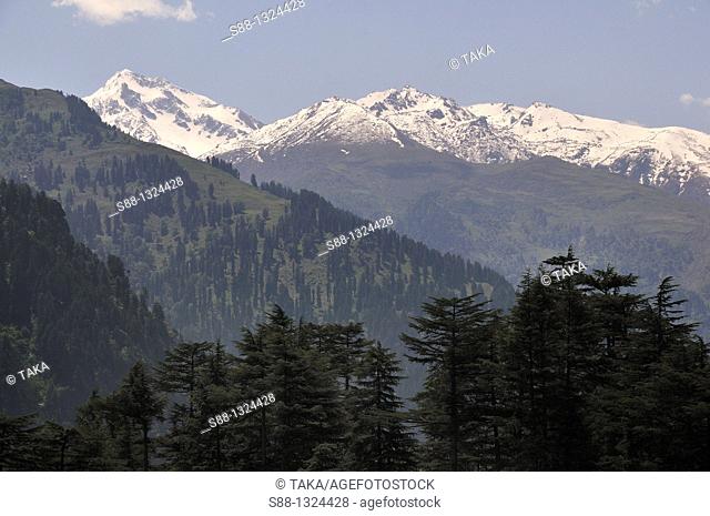 Himalayan mountain view from Old Manali. Himachal Pradesh, India