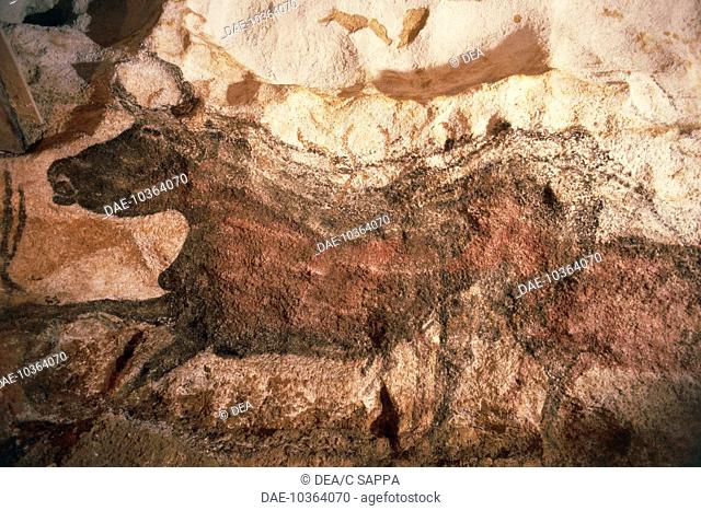 France - Lascaux caves in the valley of Vézère (World Heritage Site by UNESCO, 1979) - Rock paintings dating from the Palaeolithic period