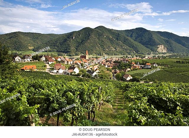 Weissenkirchen, Wachau, Lower Austria, Austria