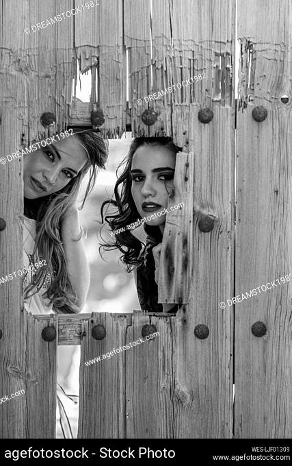 Portrait of two young women behind wooden fence looking through hole