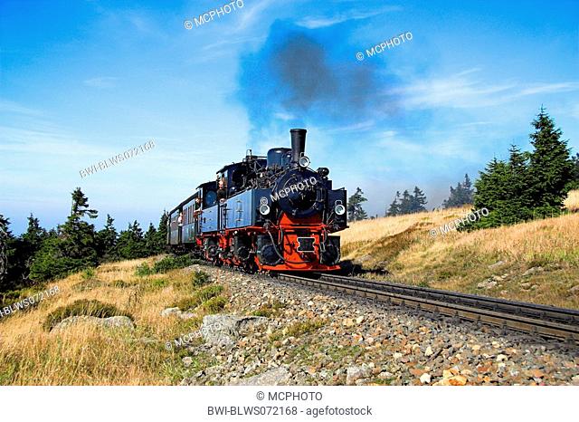 narrow-gage railway on the way to the Brocken, Germany, Saxony-Anhalt, Harz