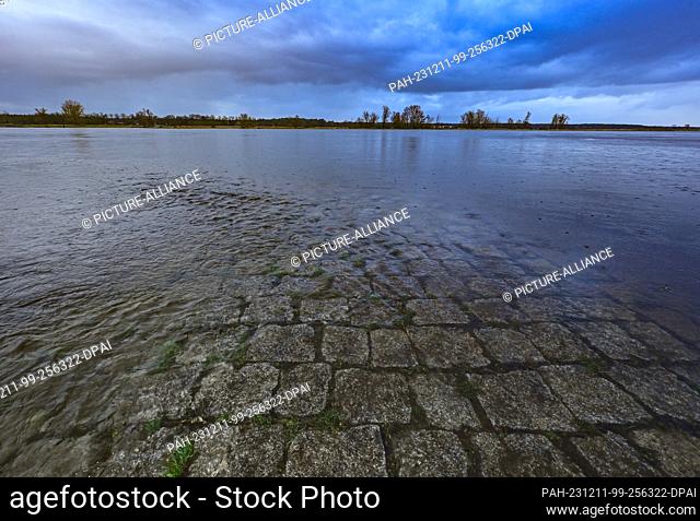 11 December 2023, Brandenburg, Genschmar: The rising level of the German-Polish border river Oder has already flooded a groyne here in the Oderbruch in East...