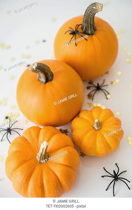 Studio Shot of pumpkins with halloween decoration