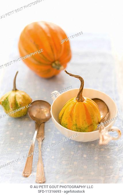 Baby acorn pumpkins with a soup cup and cutlery