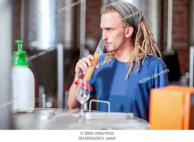 Man in microbrewery quality checking craft beer