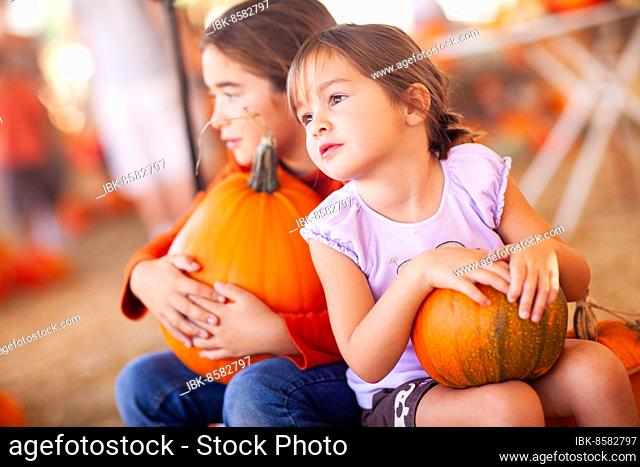 Adorable little girls holding pumpkins at A pumpkin patch