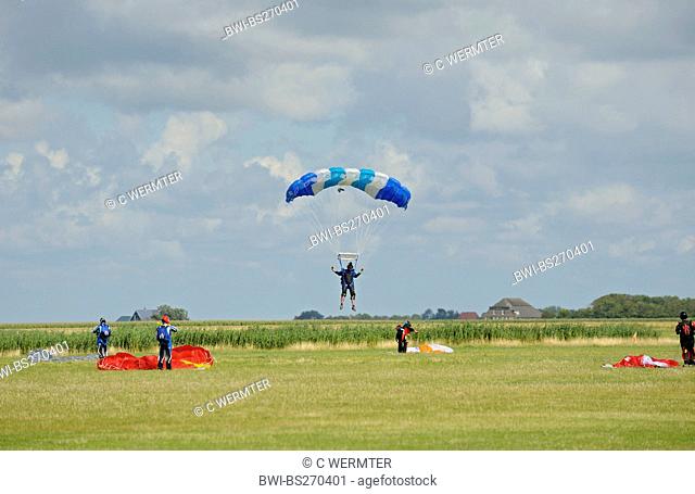 sky divers landing in a meadow, Netherlands, Northern Netherlands, Netherlands, Texel