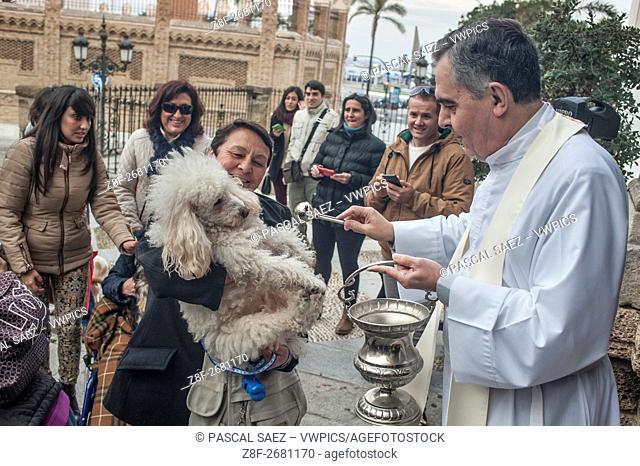 January 17th, 2016 - Cádiz, Spain - Local pet owners brought their animals to be blessed by the priest of the Santo Domingo church on the evening of 17th...