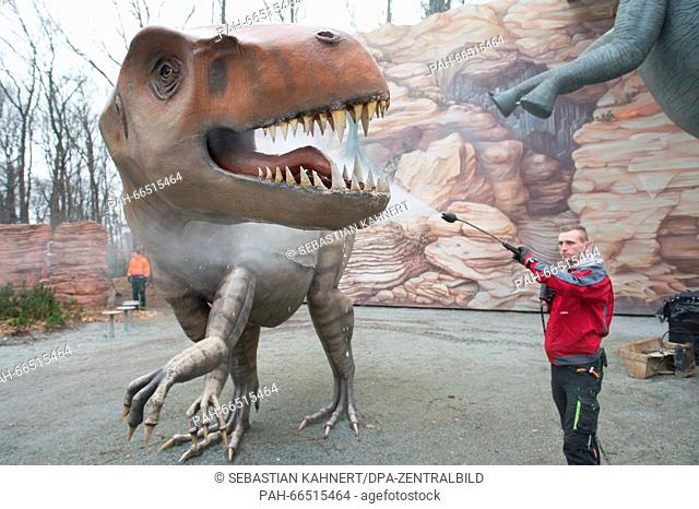 Gardener Rayk-Dieter Schulze cleans the model of an Allosaurus with a high-pressure cleaner in Kleinwelka, Germany, 08 March 2016