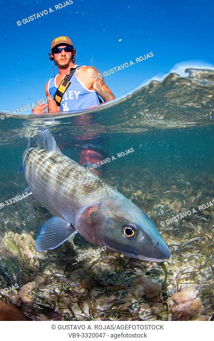 Over/under type shot SPLIT off man hold a BIG BONEFISH underwater saltwater fly fishing los roques venezuela