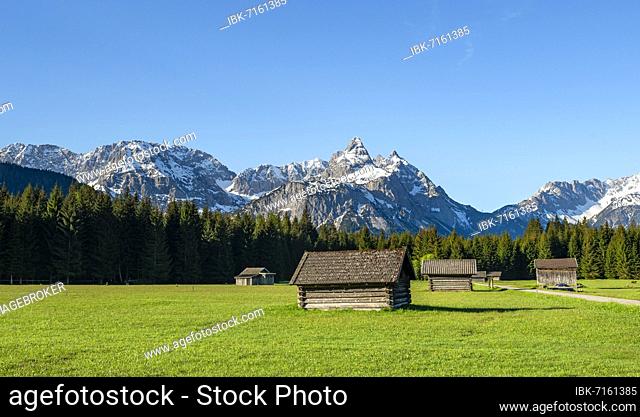 Meadow with hay barns, behind snow-covered mountain peaks in spring, Mieminger Kette with Ehrwalder Sonnenspitze, Ehrwald, Tyrol, Austria, Europe